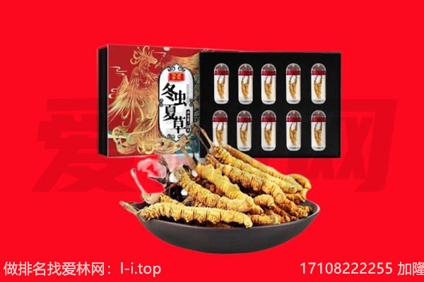 桂林回收虫草.jpg